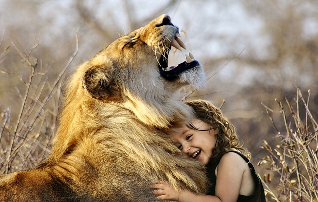 lev s dívkou